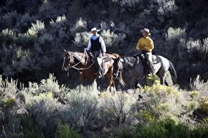 Images Dated 31st August 2005: Cattlemen riding Quarter / Paint Horse