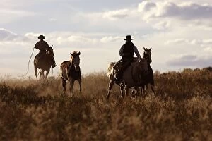 Cattlemen riding Quarter / Paint Horses