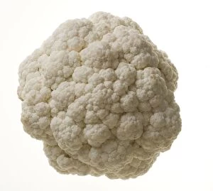 Images Dated 28th July 2006: Cauliflower