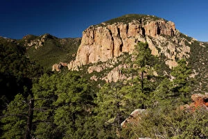 Cliff Gallery: Cave Creek Canyon, in the Coronado National Forest, near Portal, Arizona