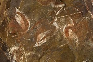 Images Dated 30th October 2004: Cave paintings of Manu Tangata, the birdman, in