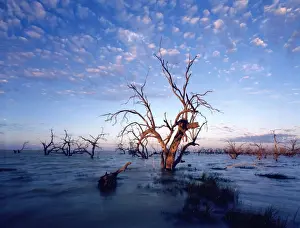 Arty Prints: Cawndilla Lakes near Menindee, Kinchega National Park