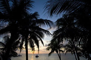 Images Dated 4th January 2011: Cayman Islands, Grand Cayman Island, Silhouette