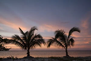 Images Dated 4th January 2011: Cayman Islands, Little Cayman Island, Silhouette