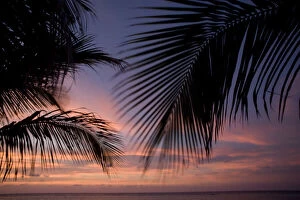 Images Dated 4th January 2011: Cayman Islands, Little Cayman Island, Silhouette