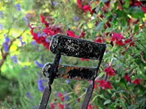 Garden Furniture Prints: Chair - in garden