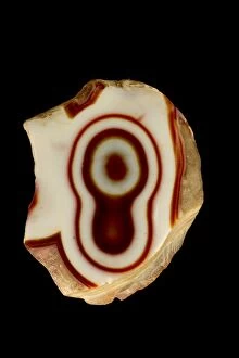 Images Dated 6th July 2012: Chalcedony Agate (SiO2) variety