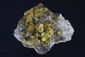 Images Dated 21st February 2011: Chalcopyrite (CuFeS2) (Golden) - Peru - The major ore of copper - Copper Iron sulfide - Very