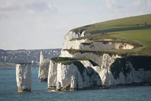 Harbour Collection: Chalk cliffs and sea stacks Harry Rocks near Studland Poole Harbour Dorset UK