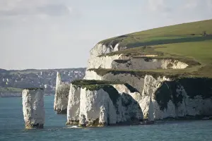 Harbour Prints: Chalk cliffs and sea stacks Harry Rocks near Studland Poole Harbour Dorset UK