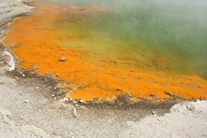 Images Dated 10th March 2008: The Champagne Pool - a colourful hot spring in Waiotapu geothermal area