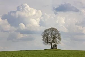Images Dated 19th April 2012: Chapel - by tree in landscape