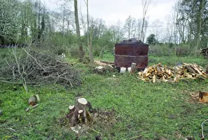 Charcoal Prints: Charcoal Burning - of Hazel Coppice UK