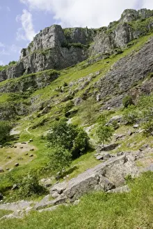 Cheddar Gorge - The karst limestone cliffs and calcareous grassland form an important wildlife habitat for many unusal plants and animals including Greater horshoe bats which roost in the caves. Somerset, UK
