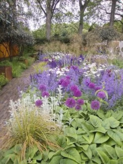 Images Dated 25th May 2006: Chelsea Flower Show 2006 - Show garden with alliums