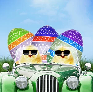 Chicks driving car through spring scene with Easter eggs
