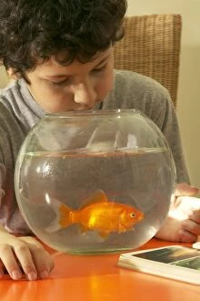 Images Dated 1st June 2004: Child and Goldfish