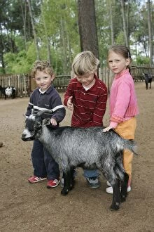 Children - at farm stroking goat