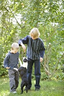 Images Dated 10th October 2006: Children playing with Boston Terrier