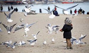 Child Gallery: Children playing and feeding seagulls on Haeundae