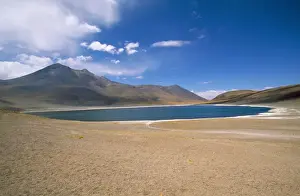 Chile - Atacama Andes & Laguna Minique on the Altiplano 4000 m +
