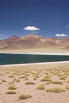 Chile, Atacama Desert, Laguna Miscanti