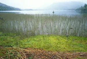 Lagoons Prints: Chile - the lagoon is popular for it's Trout fishing and surrounding mountains