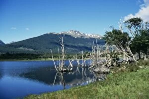 Images Dated 11th June 2004: Chile Tierra del Fuego near Puerto Williams