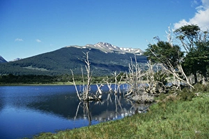 Images Dated 11th June 2004: Chile Tierra del Fuego near Puerto Williams