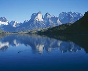 Images Dated 11th June 2004: Chile Torres del Paine
