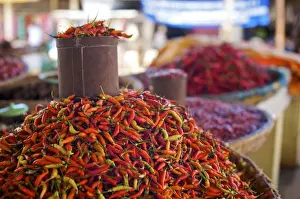 Chilli Tin can - Tomohon Market - N. Sulawesi - minahasa highlands - Indonesia