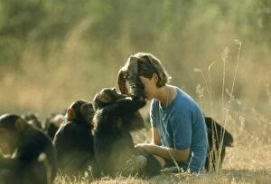 CHIMPANZEE - group and researcher