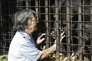 Chimpanzee - & Sheila Siddle