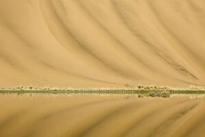 Dune Gallery: China, Inner Mongolia, Badain Jaran Desert