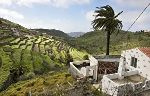 Canary Islands Prints: Chipude en route to Valle Gran Rey - much terracing but no cultivation at this time of year