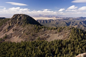 Images Dated 24th December 2008: Chiricahua National Monument, South-east Arizona