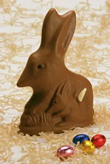 Quirky Prints: Chocolate Bilby - Australia's version of the Easter bunny JLR07151