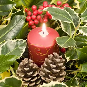 Firs Prints: Christmas Candle and holly berries