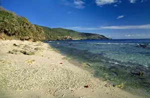 Christmas Island Prints: Christmas Island - Indian Ocean - Ethel beach (coral rubble) limestone cliffs & Pandanus