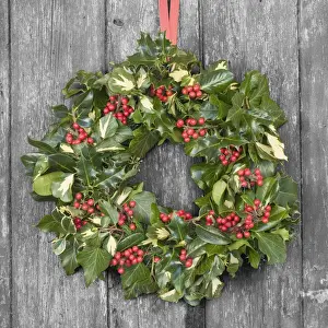 Doors Prints: Christmas Wreath on old wooden door Digital Manipulation: door to B&W