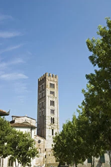 Images Dated 11th February 2010: Church of San Frediano, Lucca, Tuscany