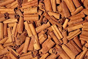 Cinnamon Prints: Cinnamon Sticks - dried bark Native to Southern China, India