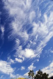 Cirrus uncinus clouds. Occur between heights of 5 to 13 km at temperatures below -25 degrees Celsius. Caused by layers of air moving in different directions or at different speeds. Indicate approach of unsettled weather