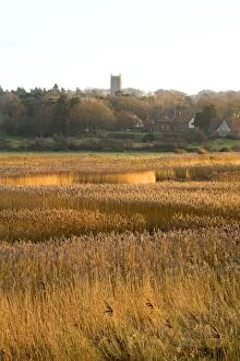 Images Dated 26th November 2008: Cley - village and reedbeds