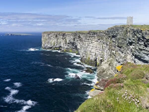 Armeria Gallery: The Cliffs of Marwick Head, Kitchener's