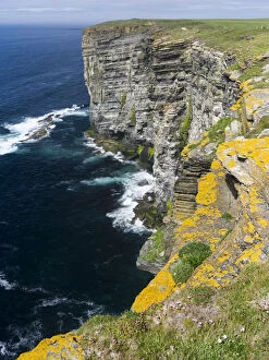 The Cliffs of Marwick Head, Orkney islands