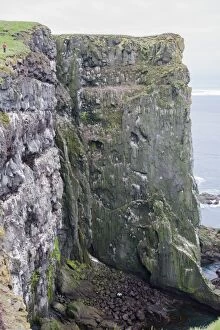 Colonies Gallery: Cliffs - with seabirds