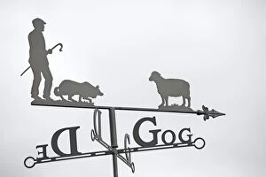Images Dated 27th June 2008: Close up of ornamental Welsh weather vane with shepherd sheep dog and sheep against plain sky UK