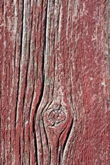 Close-up of plank of wood with knot, showing the grain