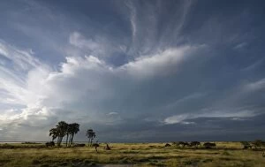 Cloud formation near Namutoni Rest Camp
